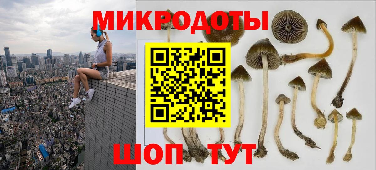 Галлюциногенные грибы Magic Shrooms Туапсе